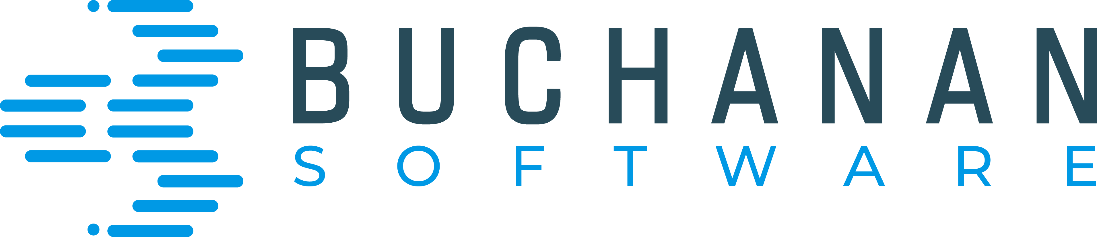 Buchanan Software - Professional Development Services